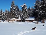 fly fishing in quiet wilderness